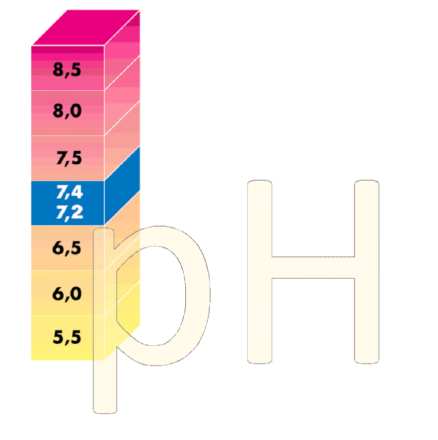 Ph Wert im Pool richtig einstellen